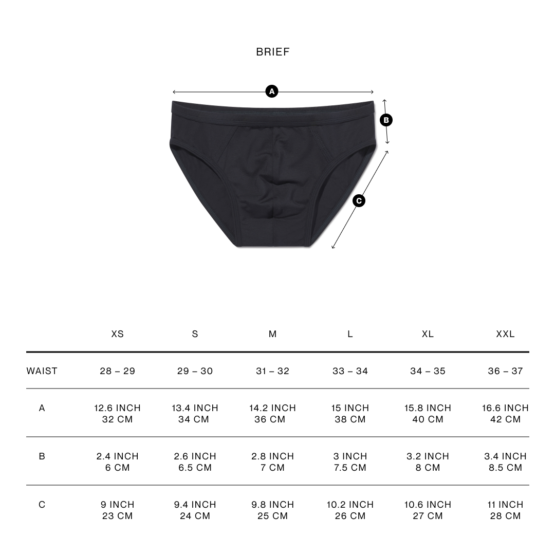 Brief